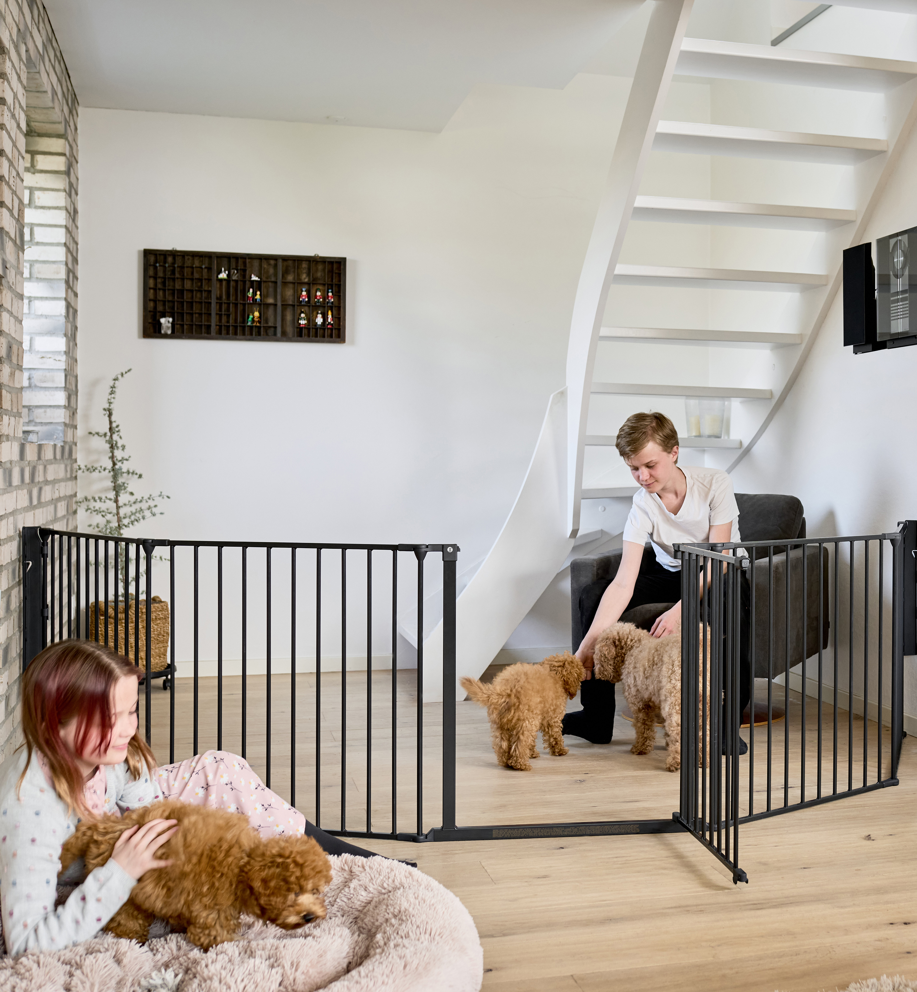 Dog room divider hotsell