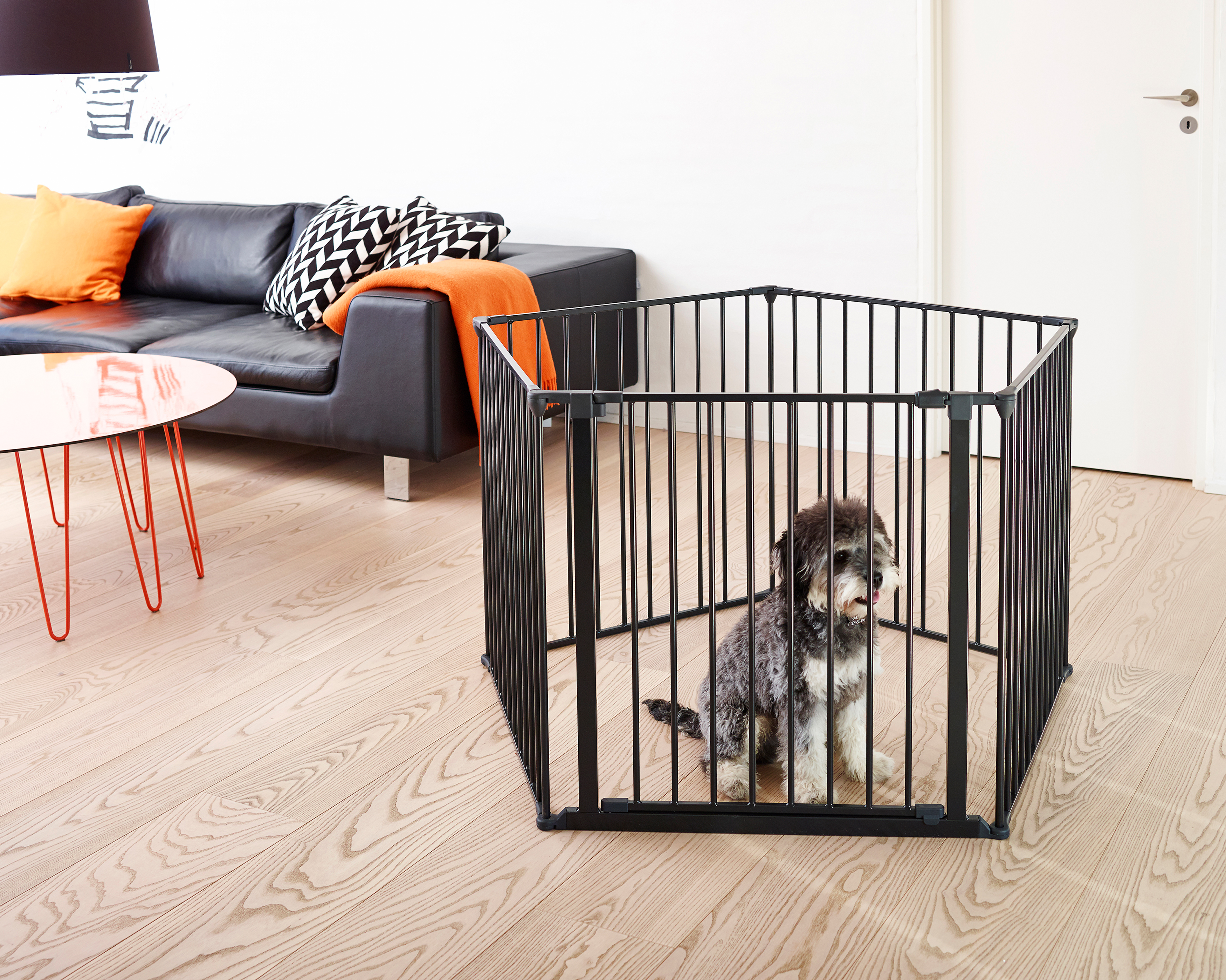 Dog crate room on sale divider