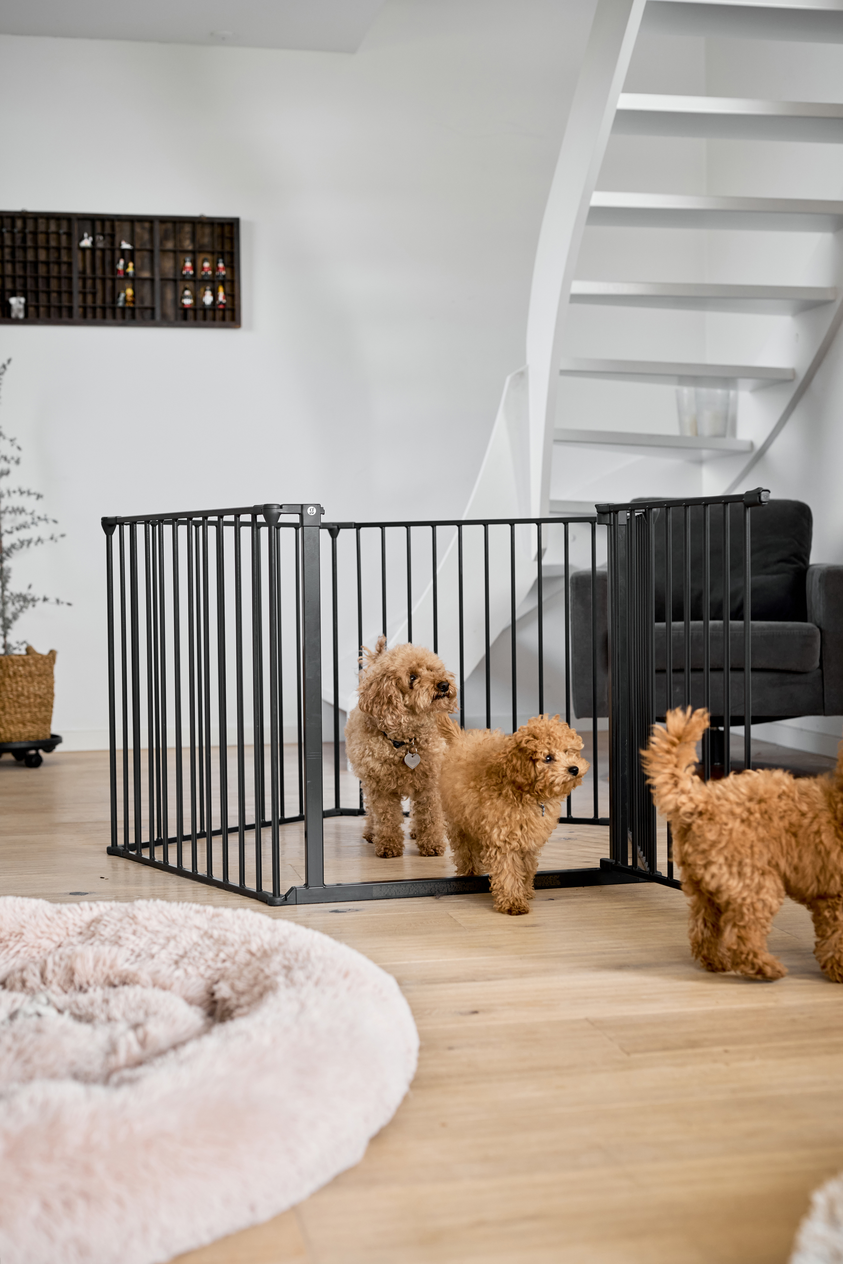 DogSpace Max multi expandable Pet room divider pet pen black