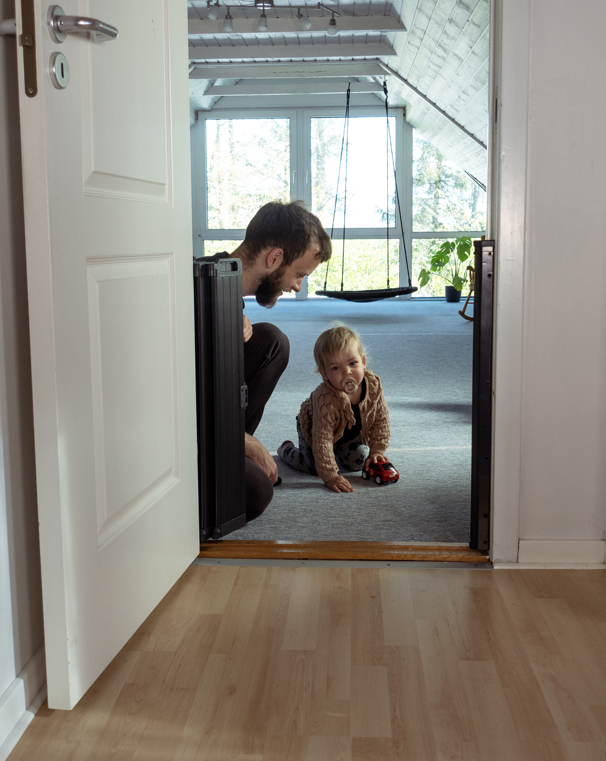 Babydan auto foldable safety gate best sale