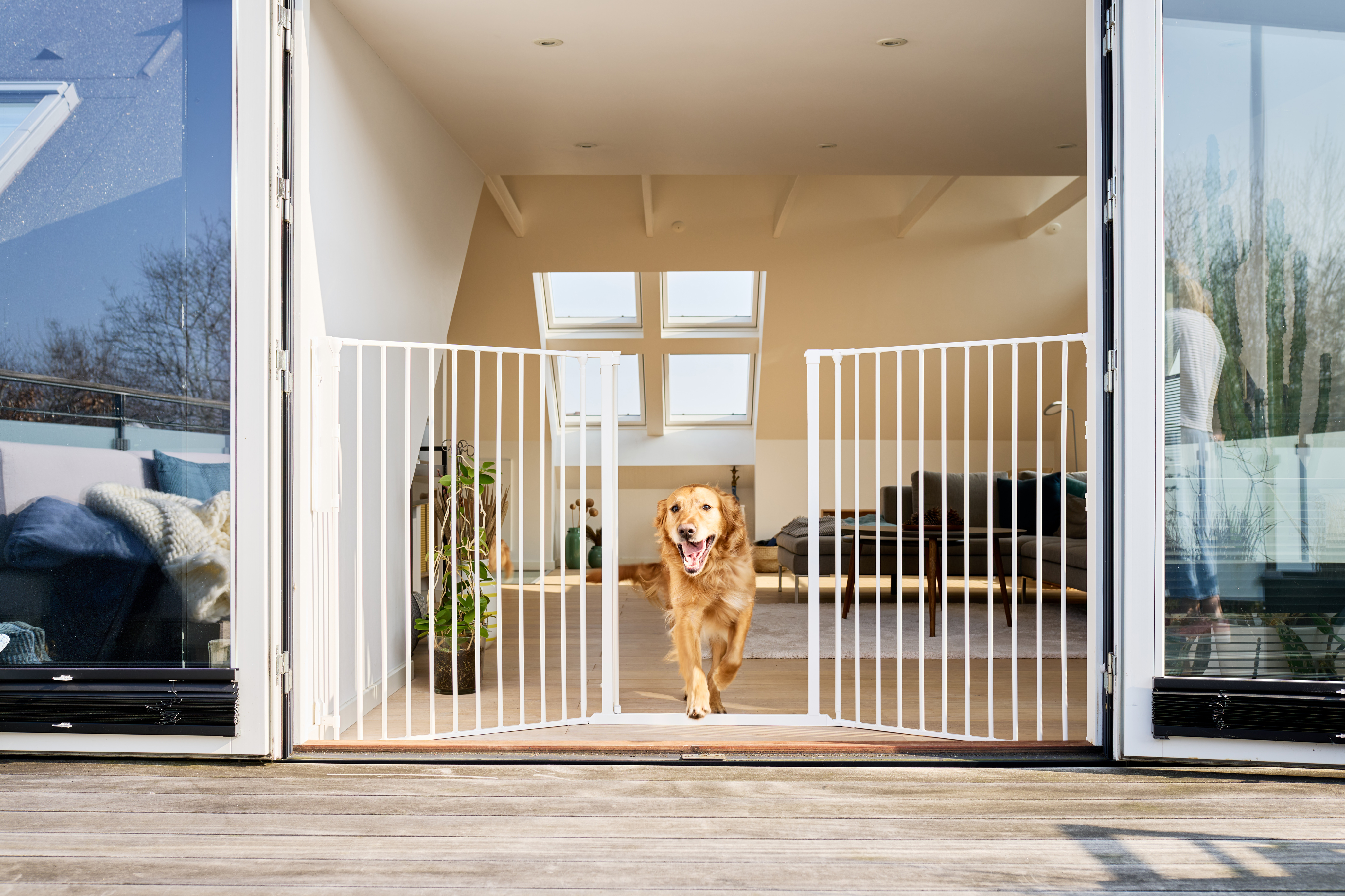 Extra tall clearance pet gate 110cm